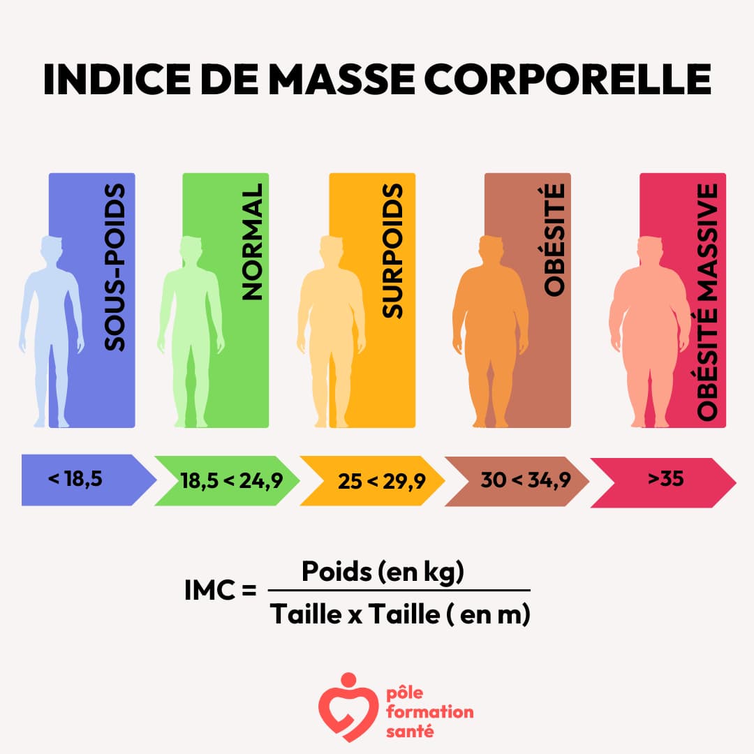 échelle et calcul IMC