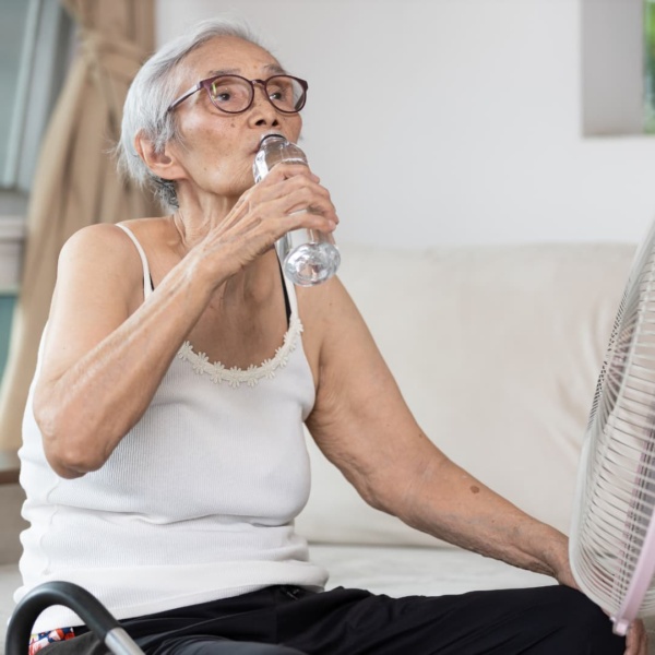 Pathologies estivales : guide pour infirmiers libéraux
