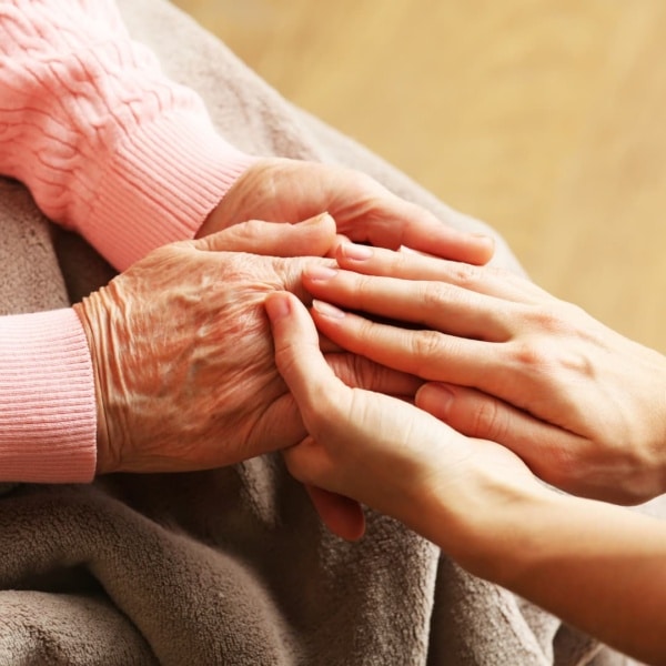 Dénutrition : accompagnement et parcours de soins adaptés – Présentiel