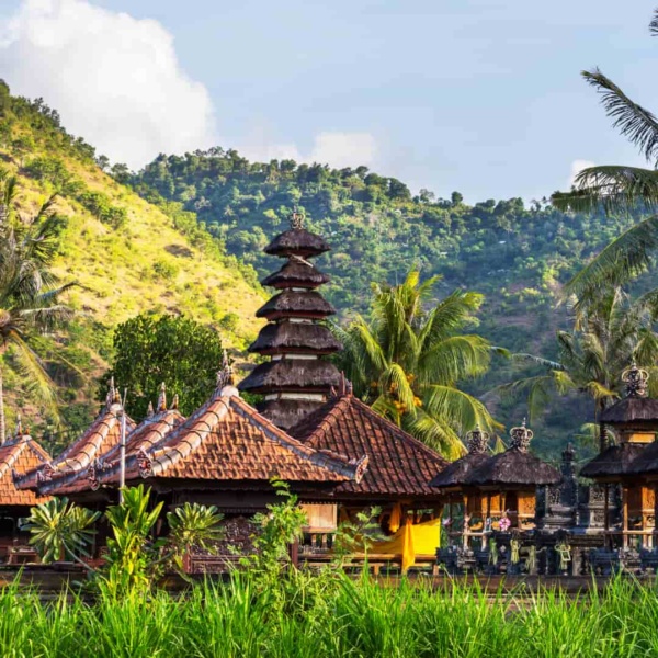 village traditionnel Bali voyage formation IDEL